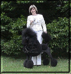 Gitano vom Swenter Moor "Gitano" with Owner Ingeborg Schwarznau